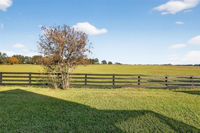 PRESERVE VIEW & PRIVACY! IN-LAW POTENTIAL. MOVE-IN READY! PRICED on El Diablo Executive Golf Course in Florida - for sale on GolfHomes.com, golf home, golf lot