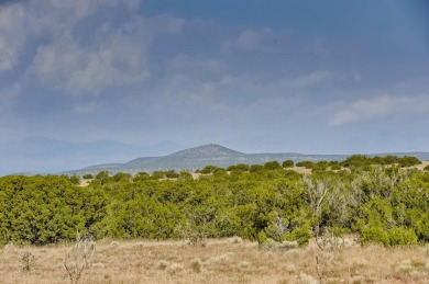 Location! 22 acres with exquisite views of the Sangre De Christo on Marty Sanchez Links De Santa Fe in New Mexico - for sale on GolfHomes.com, golf home, golf lot
