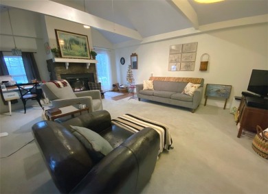 Nestled on Dryden Lake, just outside the village of Dryden on Dryden Lake Golf Club in New York - for sale on GolfHomes.com, golf home, golf lot