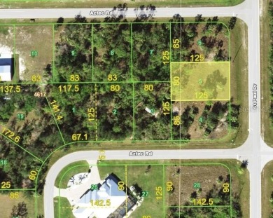 This cleared lot in South Gulf Cove is surrounded by beautiful on Rotonda Golf and Country Club - Long Marsh  in Florida - for sale on GolfHomes.com, golf home, golf lot