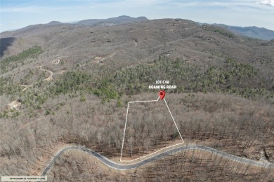Discover the perfect canvas to design your dream mountain on Natures Walk At Chinquapin in North Carolina - for sale on GolfHomes.com, golf home, golf lot
