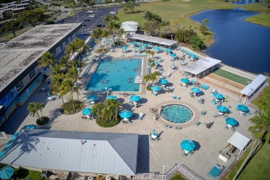 Stunning fully renovated corner unit in the gated 55+ Kings on Kings Point Golf -Flanders Way in Florida - for sale on GolfHomes.com, golf home, golf lot