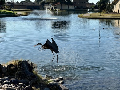 2/16 PRICE IMPROVMENT! Updated TURNKEY WATERFRONT home in on Leisure World Country Club in Arizona - for sale on GolfHomes.com, golf home, golf lot