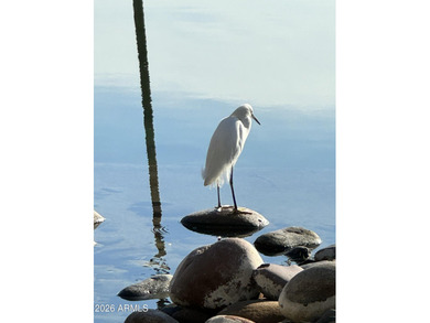 2/16 PRICE IMPROVMENT! Updated TURNKEY WATERFRONT home in on Leisure World Country Club in Arizona - for sale on GolfHomes.com, golf home, golf lot