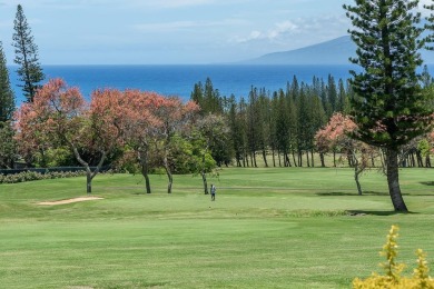 Imagine time well spent in this picturesque setting in your 2 on Kapalua Golf Club - Bay Course in Hawaii - for sale on GolfHomes.com, golf home, golf lot