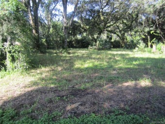 Inverness .52 of an Acre Building Lot with Public Water on Inverness Golf & Country Club in Florida - for sale on GolfHomes.com, golf home, golf lot
