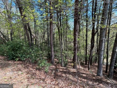 Gentle laying lot within Buckhorn Estates subdivision- on White Path Golf Club in Georgia - for sale on GolfHomes.com, golf home, golf lot
