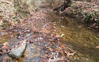 UNRESTRICTED WATER-FRONT Wooded Lot Situated in the Mountains of on Brasstown Valley Resort and Spa in Georgia - for sale on GolfHomes.com, golf home, golf lot