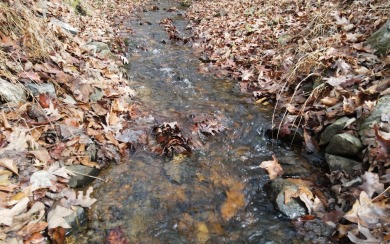 UNRESTRICTED WATER-FRONT Wooded Lot Situated in the Mountains of on Brasstown Valley Resort and Spa in Georgia - for sale on GolfHomes.com, golf home, golf lot