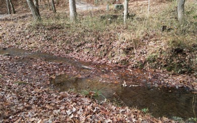 UNRESTRICTED WATER-FRONT Wooded Lot Situated in the Mountains of on Brasstown Valley Resort and Spa in Georgia - for sale on GolfHomes.com, golf home, golf lot