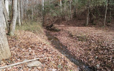 UNRESTRICTED WATER-FRONT Wooded Lot Situated in the Mountains of on Brasstown Valley Resort and Spa in Georgia - for sale on GolfHomes.com, golf home, golf lot