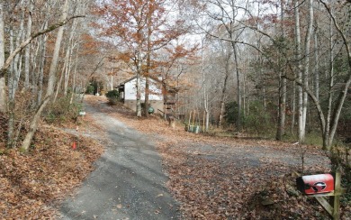 UNRESTRICTED WATER-FRONT Wooded Lot Situated in the Mountains of on Brasstown Valley Resort and Spa in Georgia - for sale on GolfHomes.com, golf home, golf lot