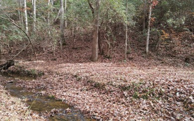 UNRESTRICTED WATER-FRONT Wooded Lot Situated in the Mountains of on Brasstown Valley Resort and Spa in Georgia - for sale on GolfHomes.com, golf home, golf lot