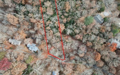 UNRESTRICTED WATER-FRONT Wooded Lot Situated in the Mountains of on Brasstown Valley Resort and Spa in Georgia - for sale on GolfHomes.com, golf home, golf lot