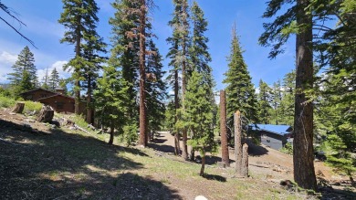 Here's your opportunity to own 9 estate-sized, half-acre Single on Snowcreek Resort Golf Course in California - for sale on GolfHomes.com, golf home, golf lot
