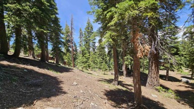 Here's your opportunity to own 9 estate-sized, half-acre Single on Snowcreek Resort Golf Course in California - for sale on GolfHomes.com, golf home, golf lot