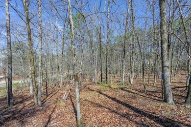 RARE 4-ACRE HOMESITE in Reynolds Lake Oconee - Prime Location on Reynolds Lake Oconee - The Oconee in Georgia - for sale on GolfHomes.com, golf home, golf lot
