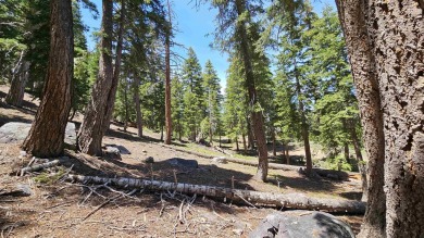 Here's your opportunity to own 9 estate-sized, half-acre Single on Snowcreek Resort Golf Course in California - for sale on GolfHomes.com, golf home, golf lot