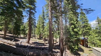 Here's your opportunity to own 9 estate-sized, half-acre Single on Snowcreek Resort Golf Course in California - for sale on GolfHomes.com, golf home, golf lot