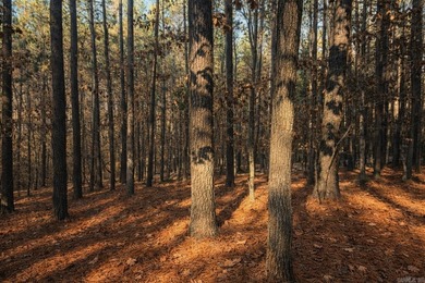 Vacant lot in Hot Springs Village - come make this one your on Granada Golf Course in Arkansas - for sale on GolfHomes.com, golf home, golf lot