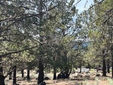 Great lake view without the price!  Enjoy all the Running Y on Running Y Ranch Resort in Oregon - for sale on GolfHomes.com, golf home, golf lot