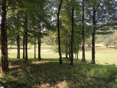 Nestled in the mountains just minutes from Greenville, SC, make on The Cliffs Valley Golf Course in South Carolina - for sale on GolfHomes.com, golf home, golf lot