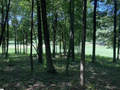 Nestled in the mountains just minutes from Greenville, SC, make on The Cliffs Valley Golf Course in South Carolina - for sale on GolfHomes.com, golf home, golf lot