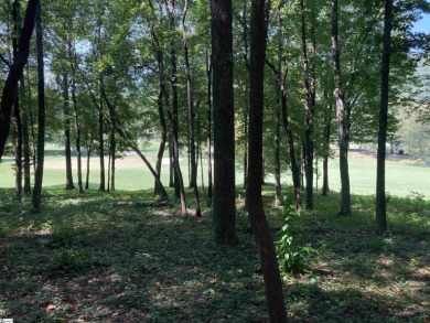 Nestled in the mountains just minutes from Greenville, SC, make on The Cliffs Valley Golf Course in South Carolina - for sale on GolfHomes.com, golf home, golf lot