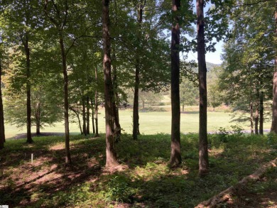 Nestled in the mountains just minutes from Greenville, SC, make on The Cliffs Valley Golf Course in South Carolina - for sale on GolfHomes.com, golf home, golf lot