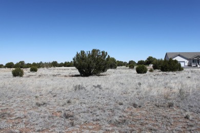 Discover the possibilities awaiting you at this prime corner lot on Silver Creek Golf Club in Arizona - for sale on GolfHomes.com, golf home, golf lot