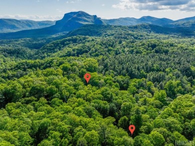 Nestled amidst the serene beauty of the Western North Carolina on High Hampton Inn and Country Club in North Carolina - for sale on GolfHomes.com, golf home, golf lot