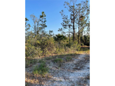Welcome to your future homesite! This beautiful 0.23-acre lot is on Deep Creek Golf Club in Florida - for sale on GolfHomes.com, golf home, golf lot