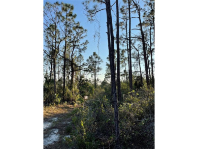 Welcome to your future homesite! This beautiful 0.23-acre lot is on Deep Creek Golf Club in Florida - for sale on GolfHomes.com, golf home, golf lot