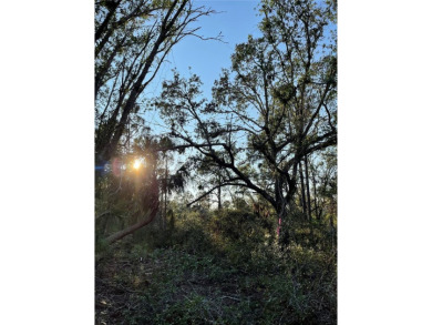 Welcome to your future homesite! This beautiful 0.23-acre lot is on Deep Creek Golf Club in Florida - for sale on GolfHomes.com, golf home, golf lot