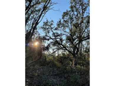 Welcome to your future homesite! This beautiful 0.23-acre lot is on Deep Creek Golf Club in Florida - for sale on GolfHomes.com, golf home, golf lot