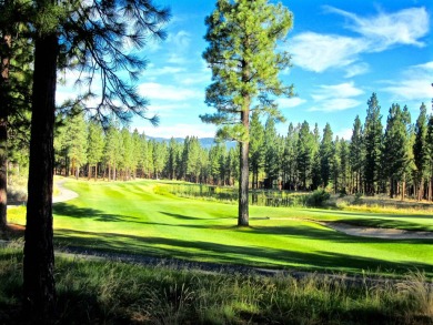 DO YOU HEAR THAT? It's the sound (silence) of the shooting stars on Nakoma Golf Resort in California - for sale on GolfHomes.com, golf home, golf lot