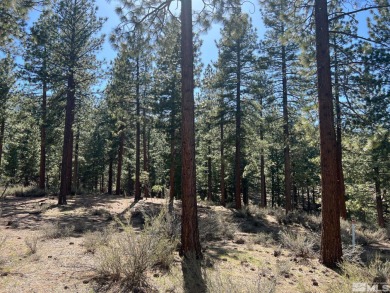 Within just a few feet of being a perfect one acre, this on Clear Creek Tahoe in Nevada - for sale on GolfHomes.com, golf home, golf lot