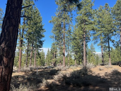 Within just a few feet of being a perfect one acre, this on Clear Creek Tahoe in Nevada - for sale on GolfHomes.com, golf home, golf lot