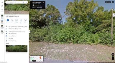 Prime buildable parcel in the center of all activities in CITRUS on Citrus Springs Country Club in Florida - for sale on GolfHomes.com, golf home, golf lot