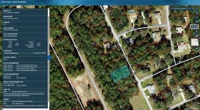 Buy this buildable parcel in CITRUS SPRINGS, FL! Come and BUILD on Citrus Springs Country Club in Florida - for sale on GolfHomes.com, golf home, golf lot