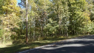 4.47 Ac in the prestige secured gated community of Mountain on Riverwatch Golf Club in Tennessee - for sale on GolfHomes.com, golf home, golf lot