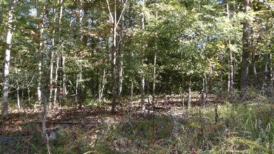 4.47 Ac in the prestige secured gated community of Mountain on Riverwatch Golf Club in Tennessee - for sale on GolfHomes.com, golf home, golf lot