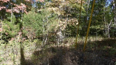 4.47 Ac in the prestige secured gated community of Mountain on Riverwatch Golf Club in Tennessee - for sale on GolfHomes.com, golf home, golf lot