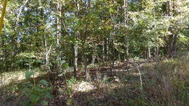 4.47 Ac in the prestige secured gated community of Mountain on Riverwatch Golf Club in Tennessee - for sale on GolfHomes.com, golf home, golf lot