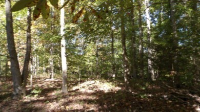 4.47 Ac in the prestige secured gated community of Mountain on Riverwatch Golf Club in Tennessee - for sale on GolfHomes.com, golf home, golf lot