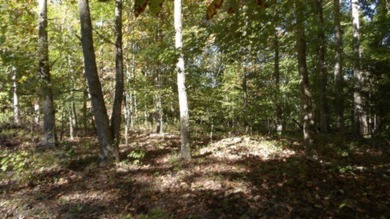 4.47 Ac in the prestige secured gated community of Mountain on Riverwatch Golf Club in Tennessee - for sale on GolfHomes.com, golf home, golf lot