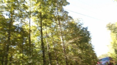 4.47 Ac in the prestige secured gated community of Mountain on Riverwatch Golf Club in Tennessee - for sale on GolfHomes.com, golf home, golf lot