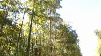 4.47 Ac in the prestige secured gated community of Mountain on Riverwatch Golf Club in Tennessee - for sale on GolfHomes.com, golf home, golf lot