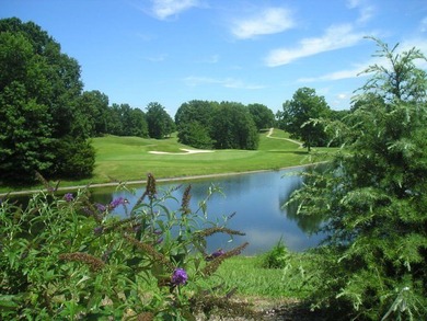 4.47 Ac in the prestige secured gated community of Mountain on Riverwatch Golf Club in Tennessee - for sale on GolfHomes.com, golf home, golf lot