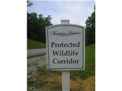 4.47 Ac in the prestige secured gated community of Mountain on Riverwatch Golf Club in Tennessee - for sale on GolfHomes.com, golf home, golf lot